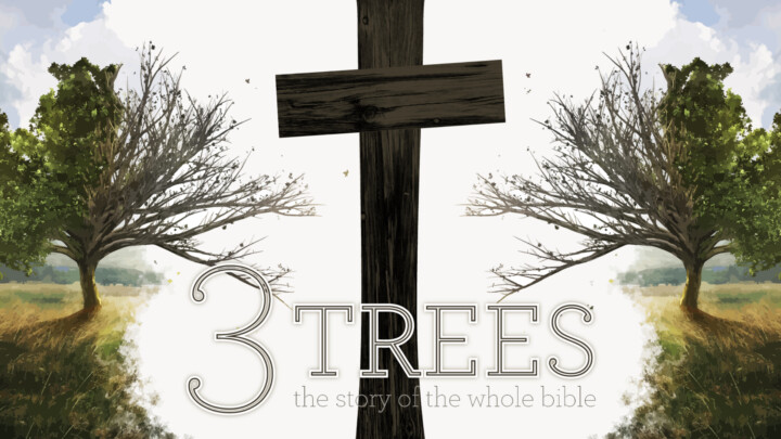 3 Trees - The Story of the Whole Bible